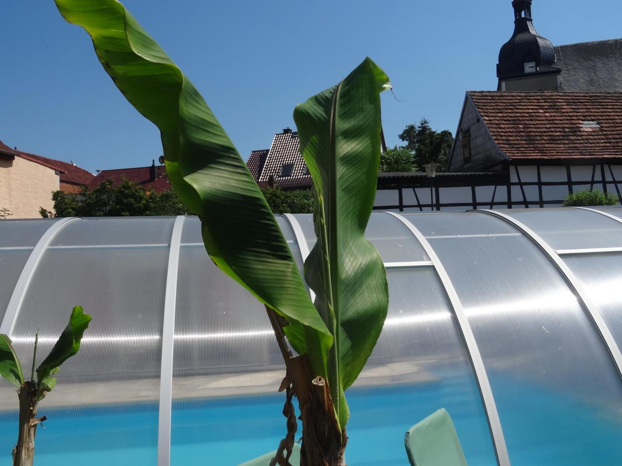 Pension Und Gaestehaus Paffrath Grossbrembach Εξωτερικό φωτογραφία